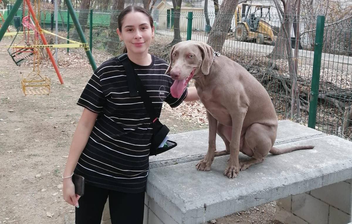 "Se cree que ambas mujeres recibieron drogas y sobredosis en una residencia de la cuadra 8600 de Olympic Boulevard", según el 
<a href="https://www.lapdonline.org/newsroom/arrests-made-in-deaths-of-two-women-dropped-off-by-masked-men-at-local-hospitals-nr21360ll/" target="_blank">comunicado del LAPD. </a>