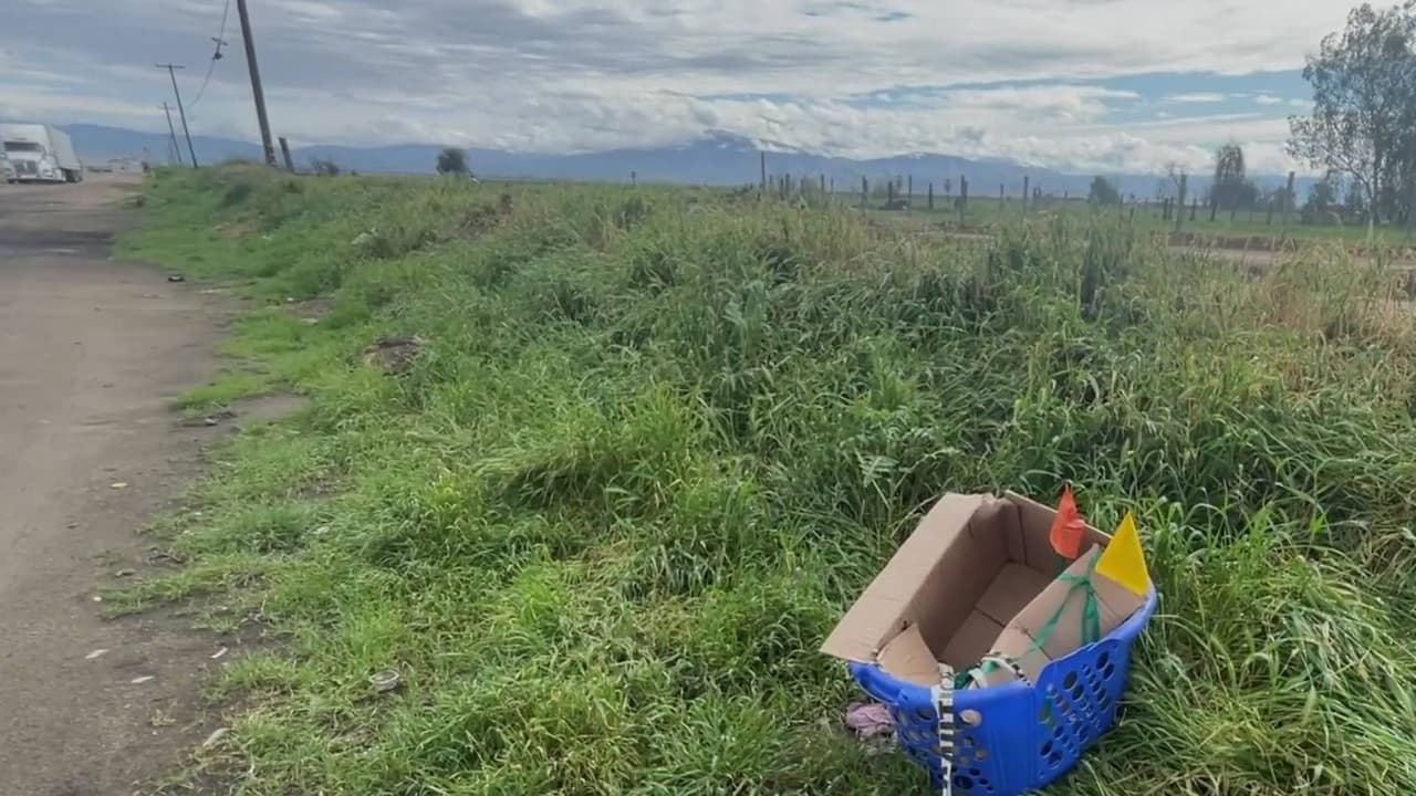 Controversia rodea a tianguis ilegal en Casa Loma; comunidad realiza denuncias