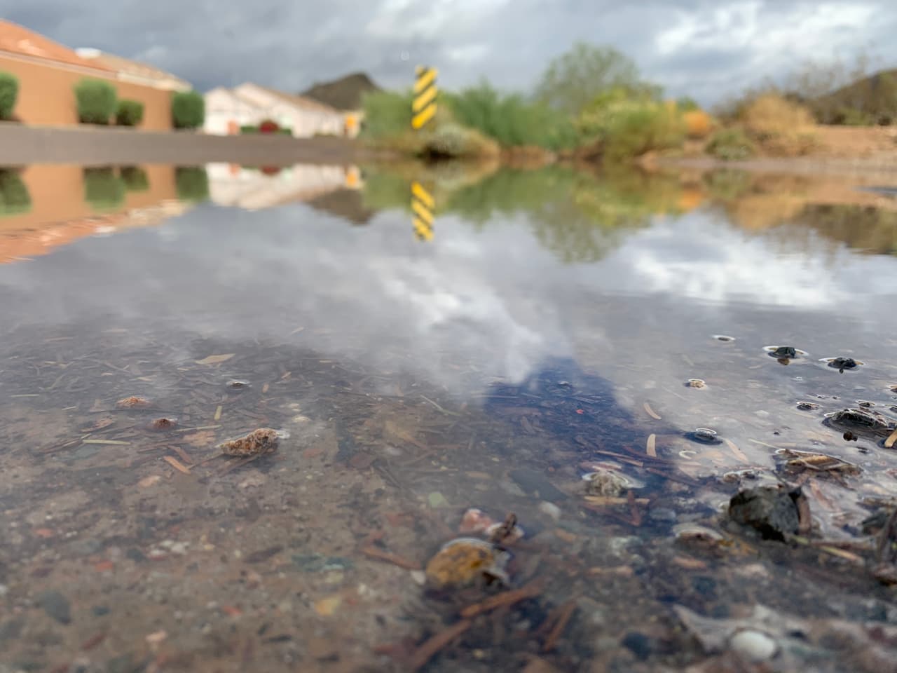 Se mantiene vigente la alerta por inundaciones repentinas por lo que autoridades recomienda evitar cruzar áreas inundadas.