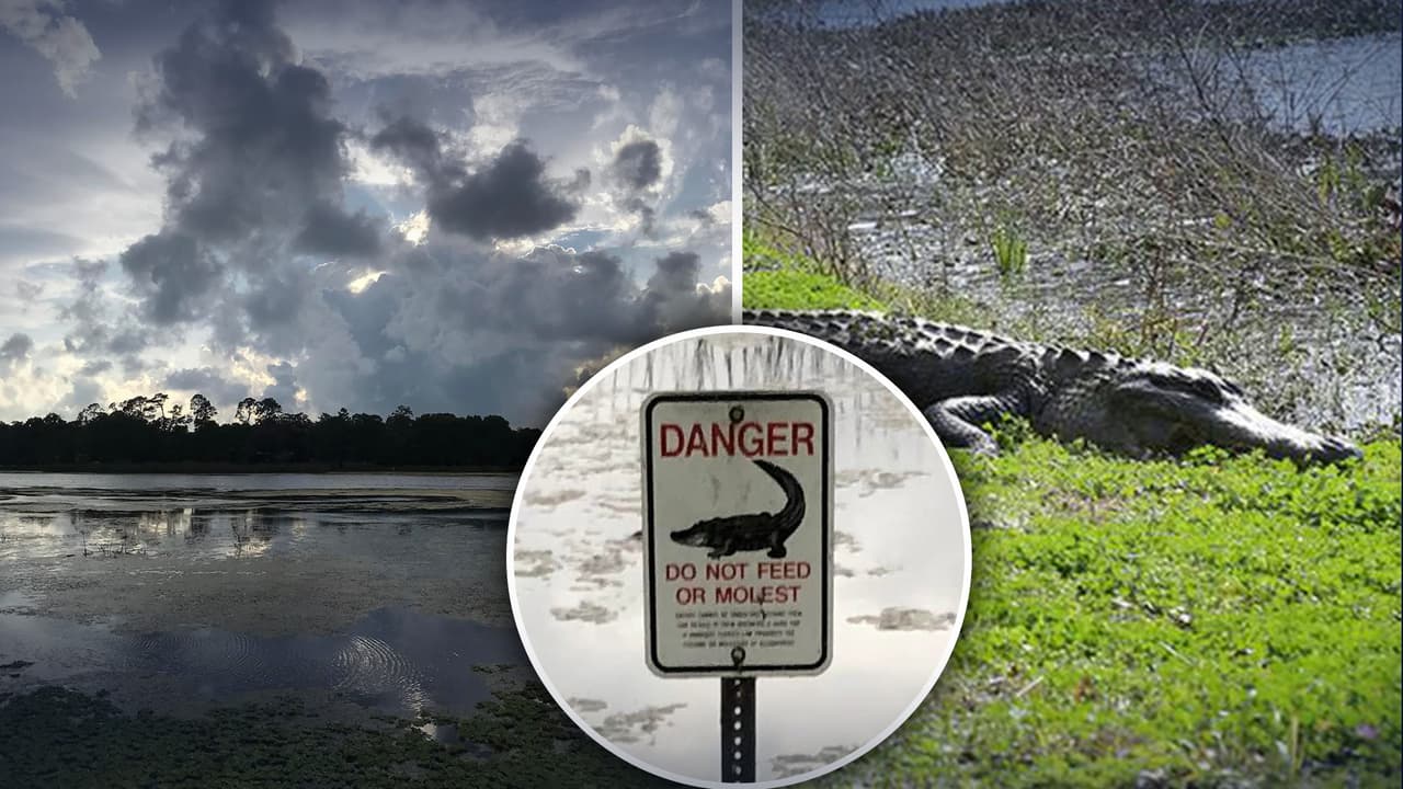 Muere hombre en Largo por posible ataque de caimán