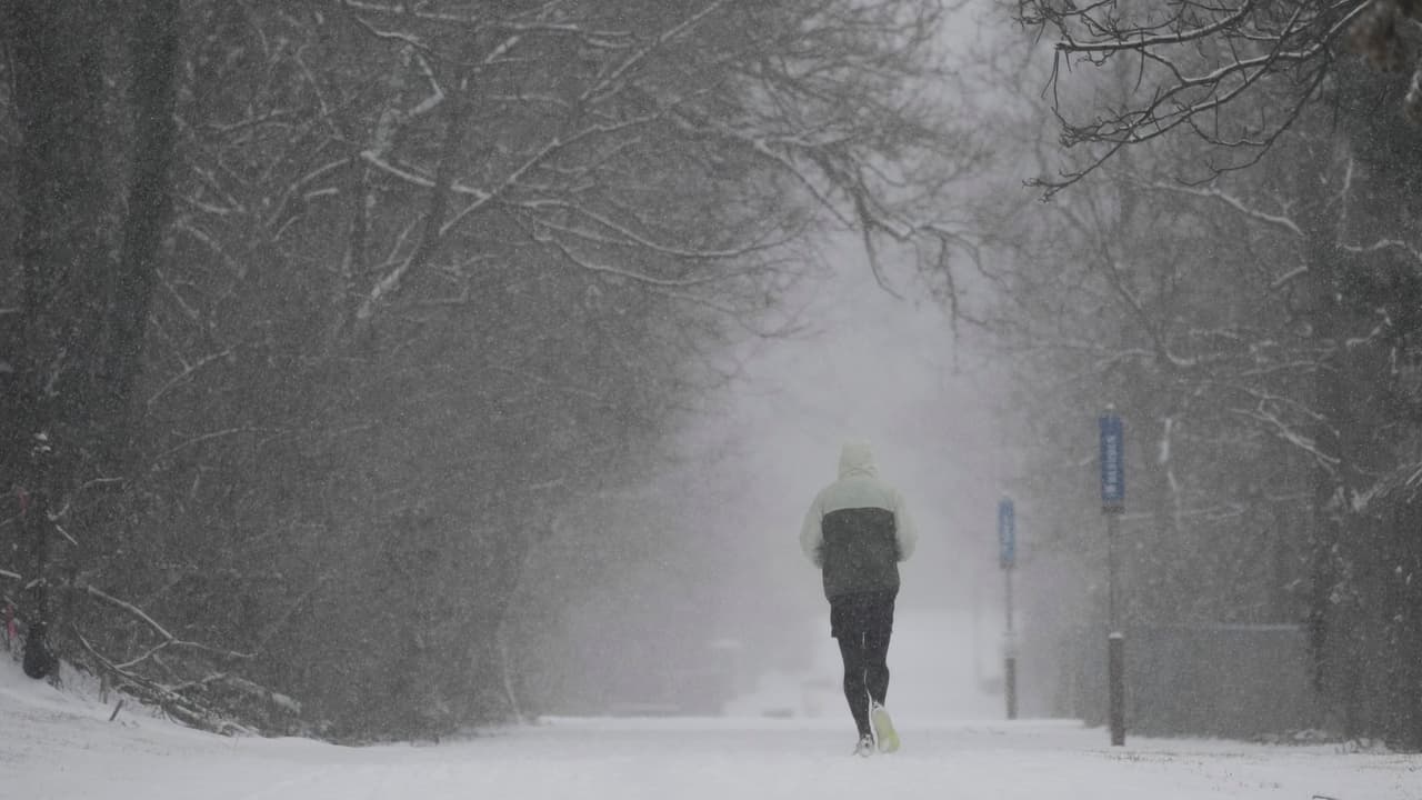 Preparativos esenciales para afrontar la temporada invernal: Protege a tu familia, hogar y mascotas