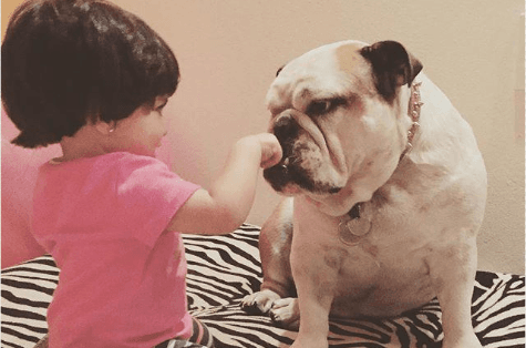 El tierno paseo de Aitana y su perrita Fiona 