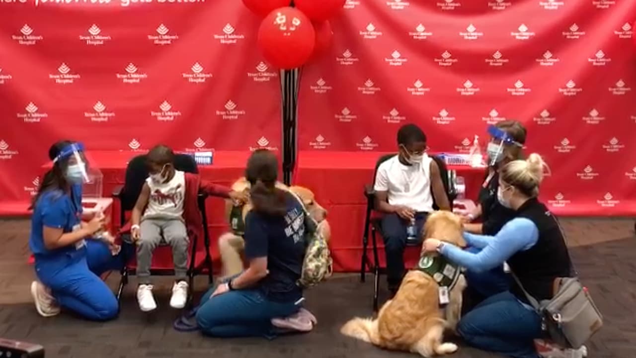 El Hospital de Niños de Texas aplicó las primeras vacunas contra el 
<b><a href="https://www.univision.com/local/houston-kxln/desde-este-mismo-miercoles-el-childrens-hospital-comienza-a-vacunar-contra-el-coronavirus-a-ninos-entre-5-y-11-anos-video">coronavirus</a></b>, después de que los 
<b><a href="https://espanol.cdc.gov/coronavirus/2019-ncov/index.html" target="_blank">CDC</a></b> recomendaron la aplicación de la inmunización de Pfizer en menores.