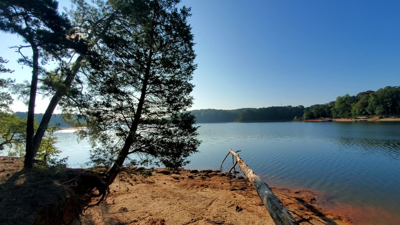 En el parque podrás realizar varias actividades.