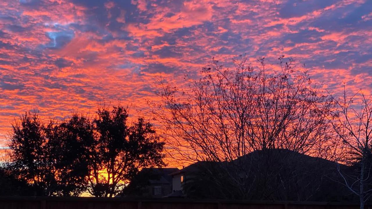 María Clara Gómez tomó esta fotografía en Richmond, TX