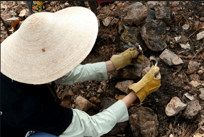 Familiares de los desaparecidos en México intentan obtener más ayuda del gobierno, tanto en la búsqueda de sus seres queridos como en la disponibilidad de especialistas y tecnología para identificar los restos que han encontrado.