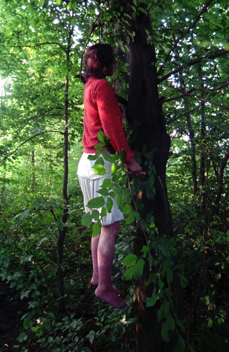 La fotografía de una refugiada de Srebrenica que logró escapar de la matanza pero que luego se colgó de un árbol fue una de las imágenes más difundidas mundialmente en 1995. Describe la desesperación de la población civil por los horrores cometidos por los militares durante la guerra.