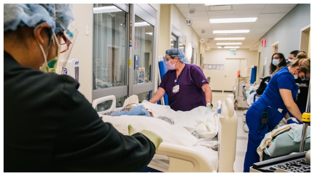 <h2 class="cms-H2-H2"><a href="https://www.univision.com/local/miami-wltv/nueva-ley-de-inmigracion-florida-que-pasa-si-un-paciente-no-dice-su-estatus-legal-en-hospitales-video">¿Qué pasa si un paciente no dice su estatus en hospitales?</a></h2>
<a href="https://www.univision.com/local/miami-wltv/nueva-ley-de-inmigracion-florida-que-pasa-si-un-paciente-no-dice-su-estatus-legal-en-hospitales-video"> </a>
<br>
<br>Es importante resaltar que los indocumentados no tienen que responder a la pregunta referente al status migratorio. Incluso, en su cuestionario de ingreso presentado al paciente 
<b>los hospitales están obligados a incluir la opción de no contestar a esta pregunta. </b>
<br>
<br>Y lo más importante a resaltar tambiés es que
<b> un hospital no puede negar su servicio médico</b> si la persona decide no contestar la pregunta referente a su status inmigratorio.
<br>
<br>Cada tres meses, los hospitales deben reportar el número de pacientes ciudadanos, residentes o indocumentados atendidos. Pero 
<b><a href="https://www.univision.com/noticias/inmigracion/obliga-la-ley-migratoria-de-florida-a-indocumentados-revelar-estatus-migratorio-te-explicamos">la ley no exige que la información incluya nombres ni direcciones. </a></b>
<br>
<br>Además, explican abogados y organizaciones, en el caso de los indocumentados 
<b>la ley tampoco contempla que en los hospitales puedan estar sujetos de arresto o deportación.</b>
<br>
<br>Según el autor de la nueva ley de inmigración en Florida, el senador republicano Blaise Ingoglia, los hospitales tienen que preguntar a los pacientes por el estatus migratorio, para calcular
<b> la cantidad de dinero que se gastan en indocumentados en el Medicaid. </b>
<br>
<br>Pero no entregarán información a autoridades migratorias.
<br>
<br>“La consulta en el formulario debe ir seguida de una declaración de que 
<b>la respuesta no afectará la atención del paciente ni resultará en un informe del estado migratorio del paciente a las autoridades de inmigración</b>”, señala la Asociación Americana de Abogados de Inmigración (AILA).
<br>
<br>Si en algún hospital le exigen responder esta pregunta 
<b>“usted puede permanecer callado y decir que no quiere responder... en este caso usted es libre de responder o no a esta pregunta”</b>, dice José Guerrero, abogado de inmigración.