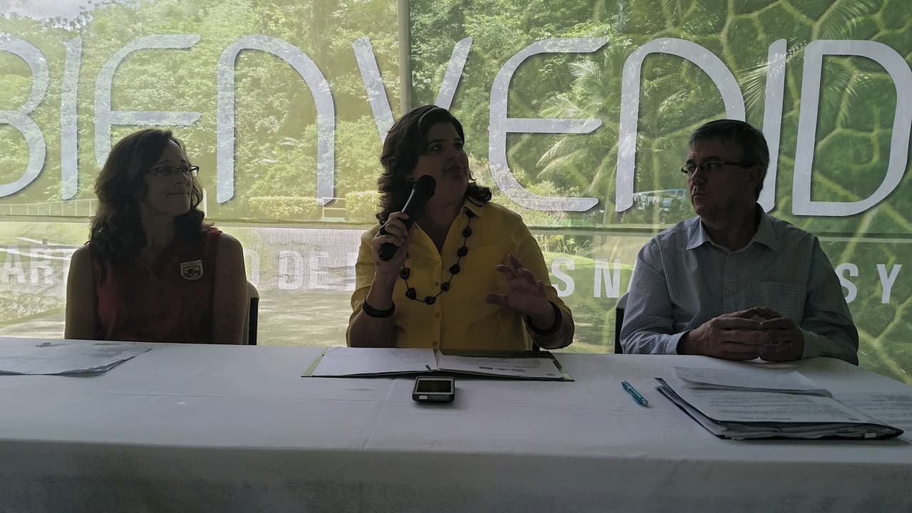 Cotorras puertorriqueñas en el Bosque Estatal de Mtaricao