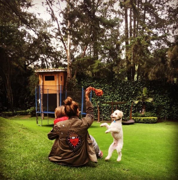 Galilea Montijo y Mateo disfrutan de una bella tarde jugando con su pequeño amigo peludo.