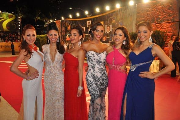 Aquí podría estar la próxima reina.