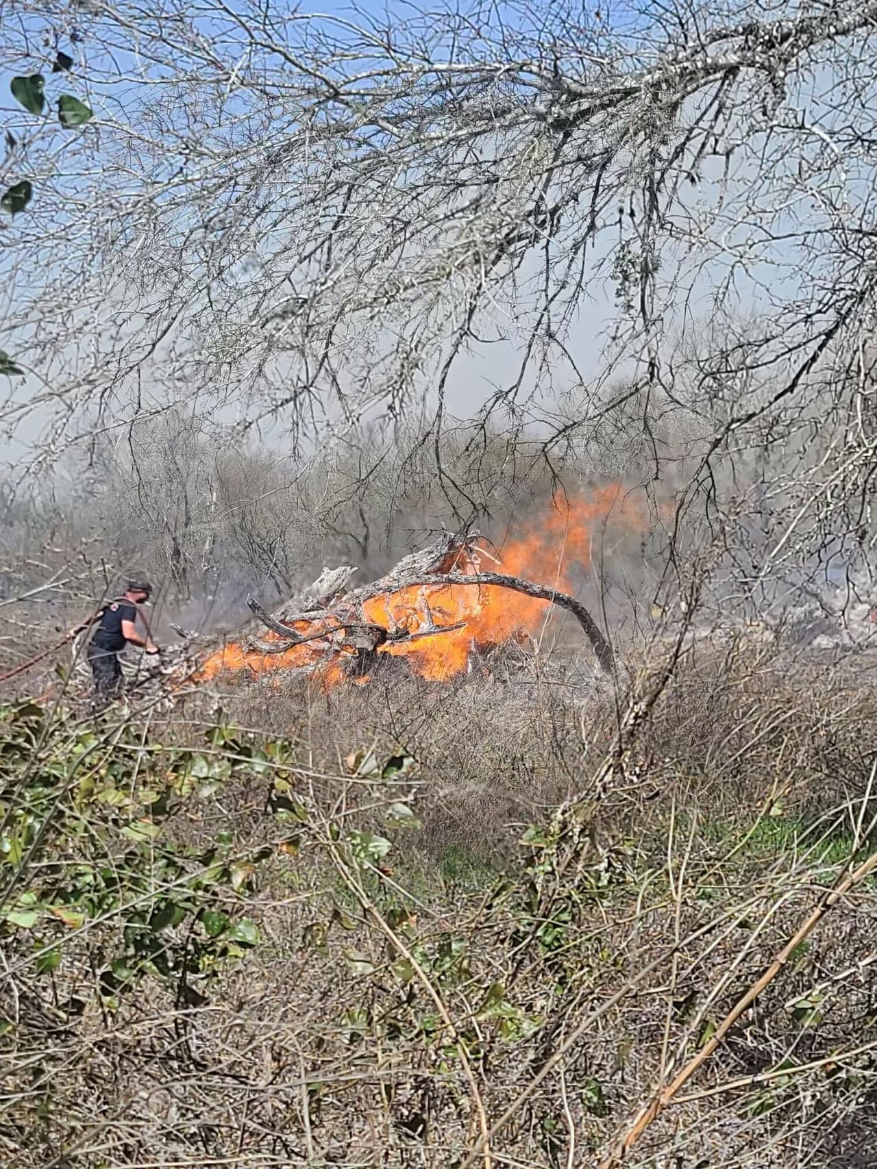 Más de 100 bomberos estuvieron en el lugar por horas y trabajaron extinguir las llamas que se extendieron rapidamente debido a los fuertes vientos en la zona, con ráfagas entre 30 y 60 millas por hora.