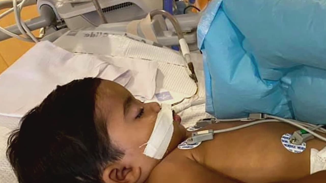 La familia de Bebé Nick tenía hasta las 3:00 pm del martes 13 de octubre para trasladarlo del Texas Children's Hospital a su vivienda. Los seres queridos del pequeño alistaron todos los requerimientos exigidos para realizar el procedimiento, como la logística de la ambulancia y el respirador artificial, para que el menor puediera ser llevado a su hogar sin contratiempos.