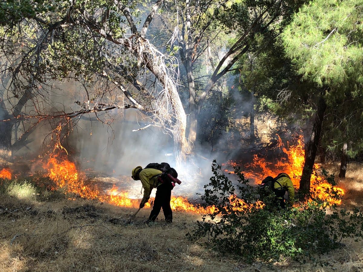 El 
<a href="https://www.univision.com/temas/incendios">incendio</a> de maleza, que se propagó
<b> rápidamente en la zona del lago Hughes del Bosque Nacional Ángeles</b>, inició a las 3:30 p.m. este miércoles, informó el Departamento de Bomberos del Condado de Los Ángeles.