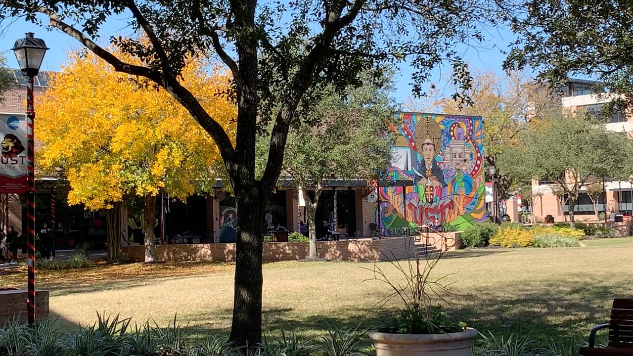 Las preguntas tratarán sobre el problema a resolver, así como la solución y cómo crear un cambio en su comunidad.