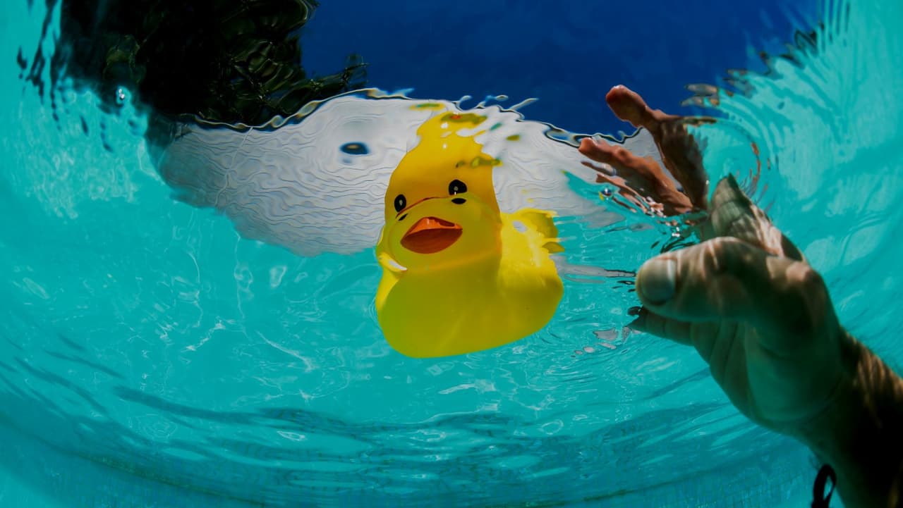 Autoridades investigan: 1 niño muerto, otro herido luego de ser sacados de una piscina