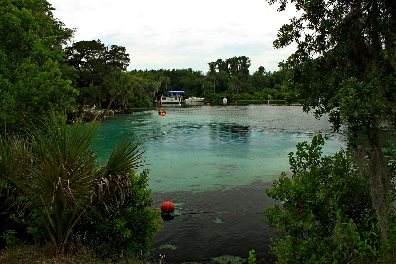 <b>Puesto 6. Ocala, Florida</b>
<br>
<br>Población del área metropolitana: 353,526 habitantes.
<br>
<br>Precio promedio de la vivienda: 168,850 dólares.
<br>
<br>Salario promedio anual: 39,640 dólares.
<br>
<br>Migración neta entre 2015 y 2019: 10.31%.
<br>
<br>Los residentes de Ocala disfrutan de un costo de vida relativamente bajo en comparación con muchas otras áreas metropolitanas de Florida.
<br>