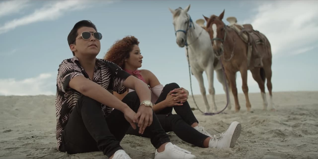 La canción tiene un ritmo contagioso donde se escuchan las notas alegres del mariachi.