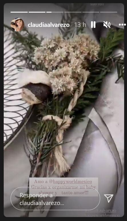 Por fortuna, el embarazo ha marchado bien para ella y ahora solo cuenta los días para que sus mellizos lleguen al mundo. 
<br>