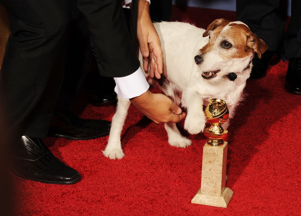 Desde entonces, Uggie llevó una vida exquisita, rodeada de lo mejor y consentido por grandes actores.