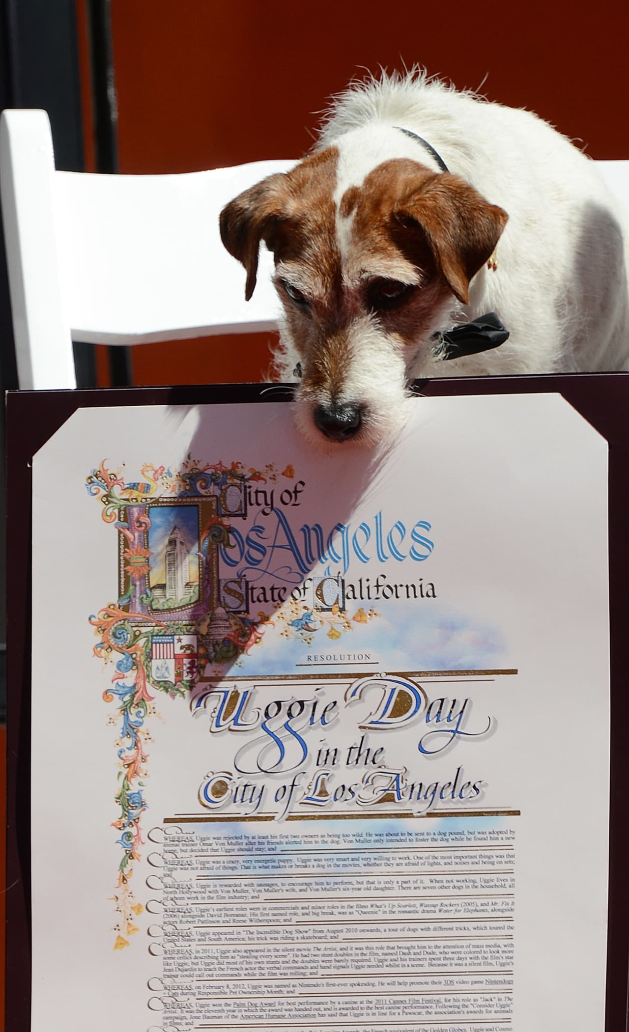 Gracias a su fama incluso Los Ángeles instauró un día especial en su honor.