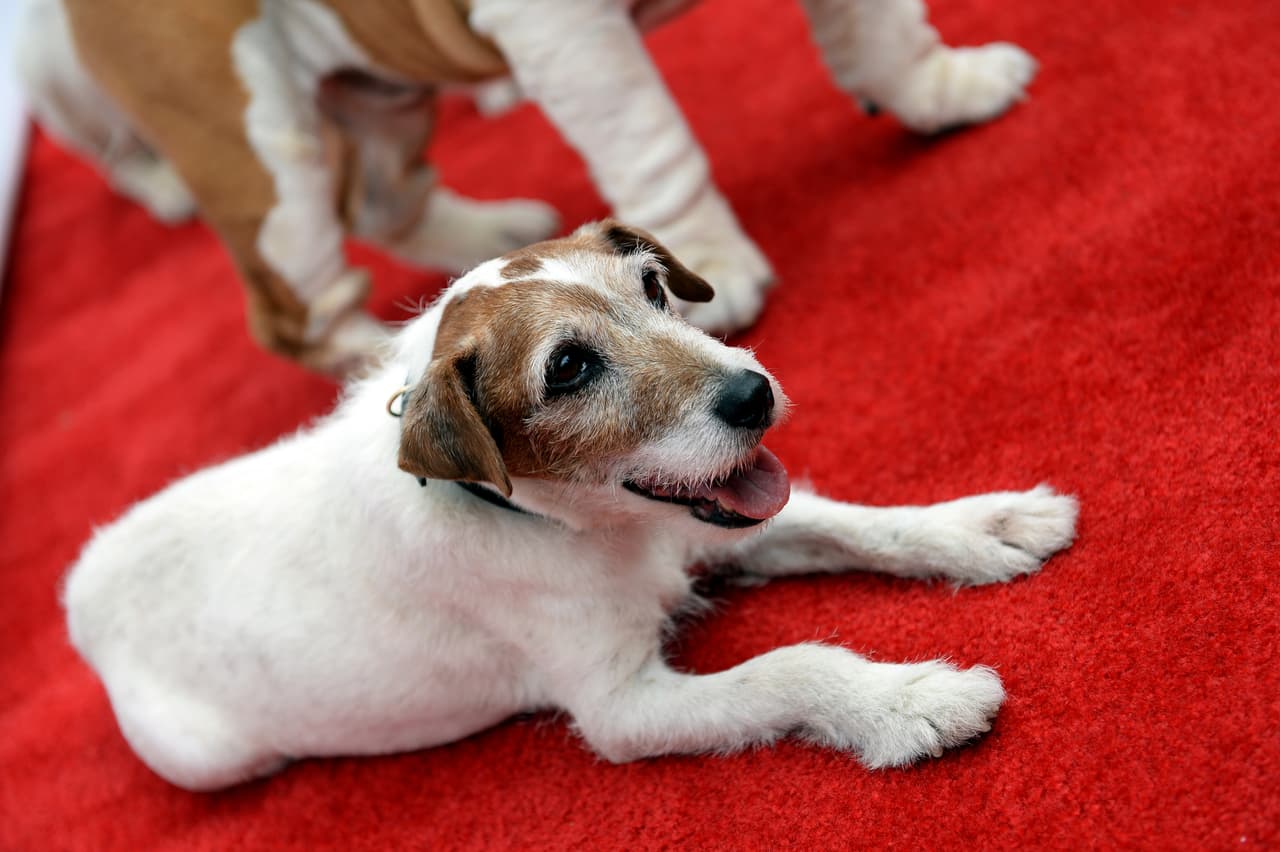 El cáncer de próstata que tenía finalmente lo abatió.