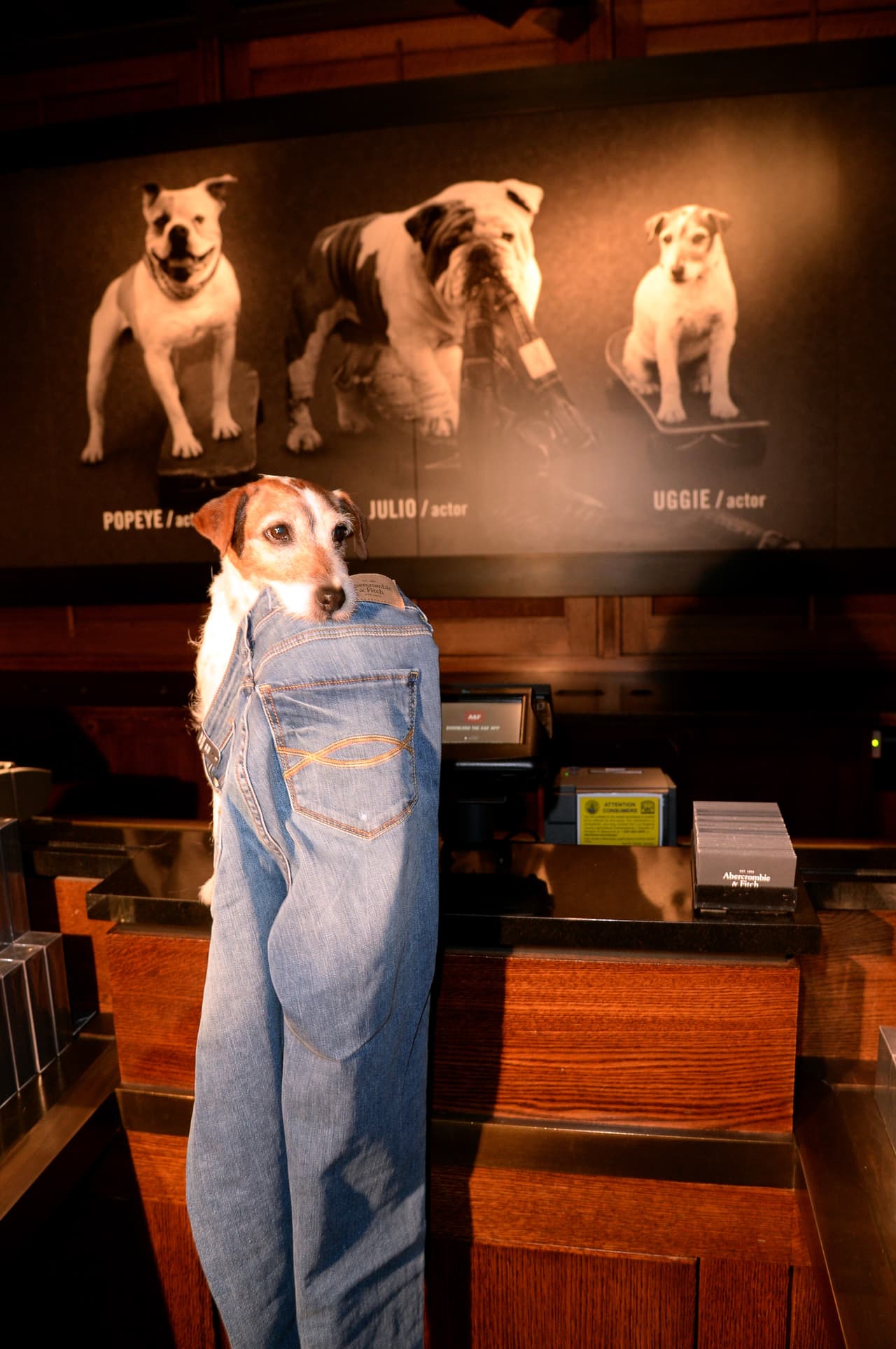 El can será recordado por muchos en 'The Artist' y 'Water for Elephants'.