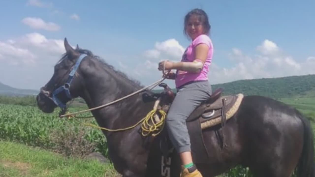 Niña mexicana se reúne con el hombre que le devolvió su brazo en California