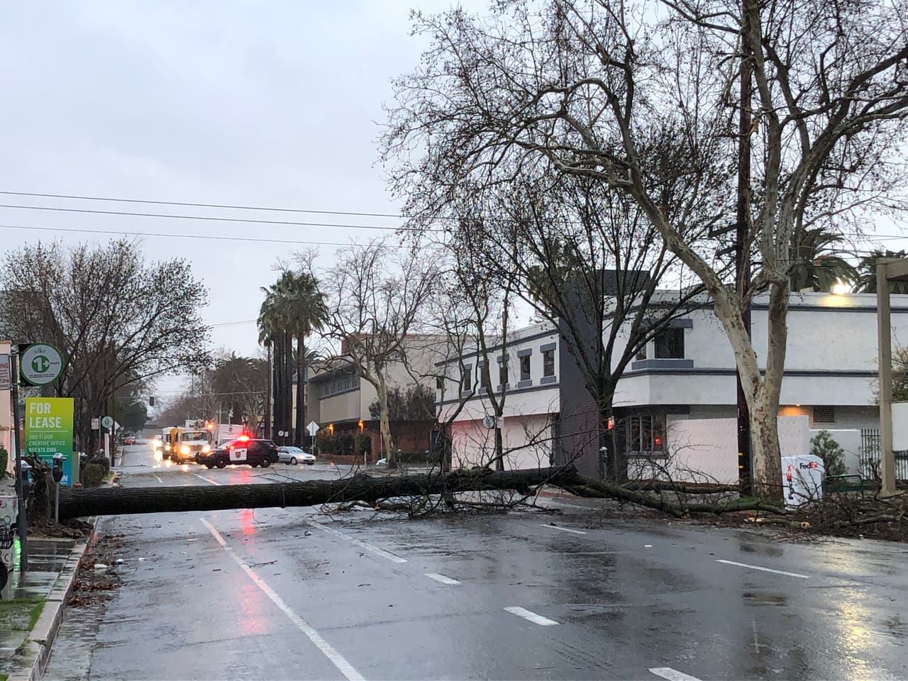 Árboles enteros quedaron en el suelo por el centro de Sacramento, bloqueando el acceso a viviendas y negocios.