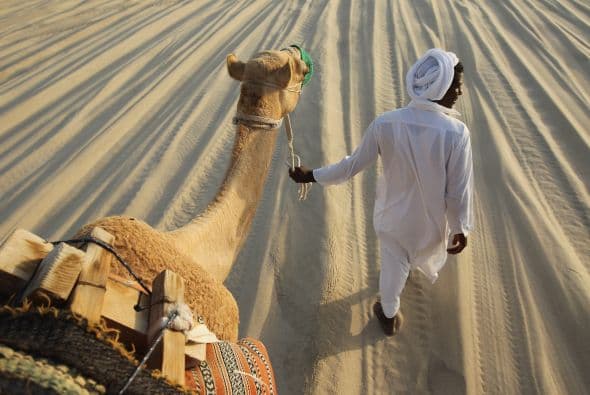 Paseando el camello durante el concurso.