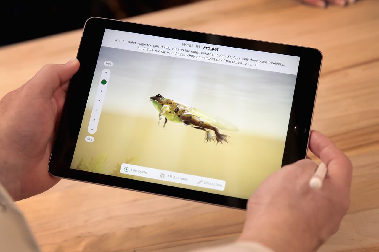 En la carrera por mantener su liderazgo en el mundo de la tecnología, Apple ha desarrollado otros productos como el IPad, el Apple Watch y nuevas líneas de computadores. Sin embargo, ninguno ha desterrado el éxito y la revolución cultural que acarreó el IPhone.