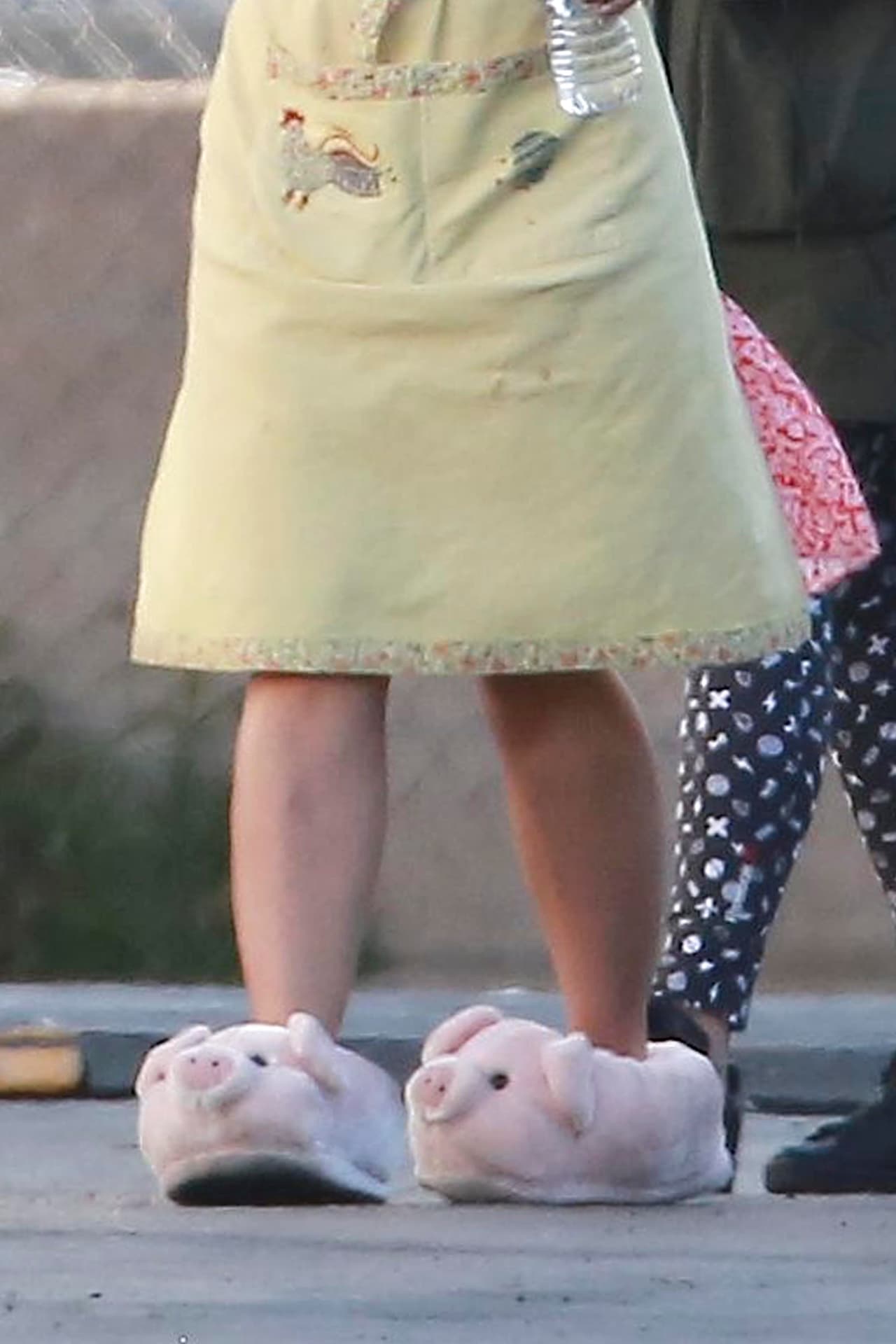 Y ahí notamos sus curiosas pantuflas de chanchito.