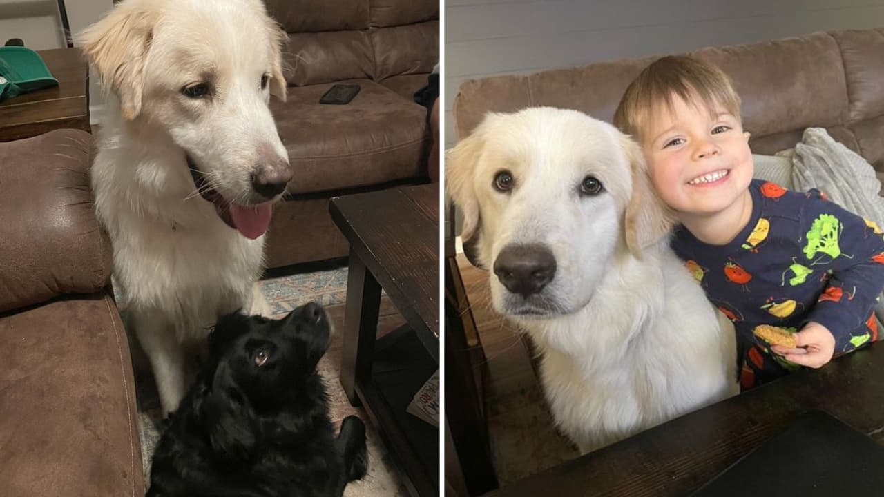 Así se ve Ronald con su nueva familia