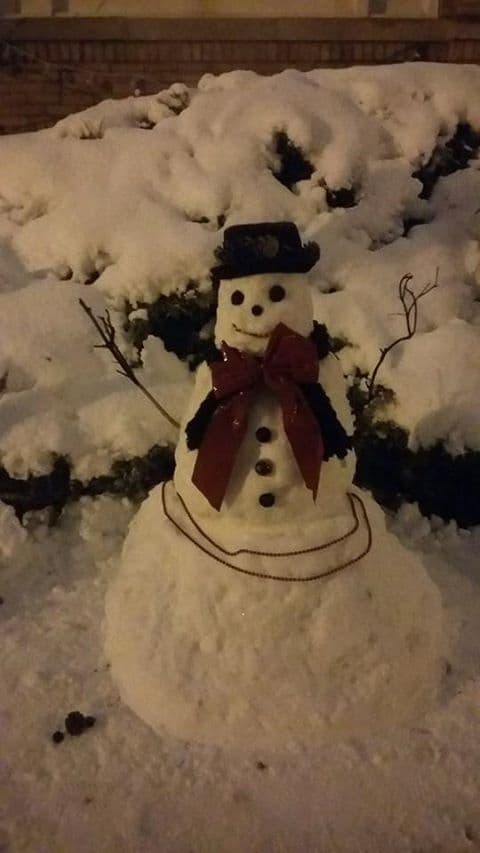Más de 1,300 vuelos se vieron cancelados en los aeropuertos Midway y O'Hare.
