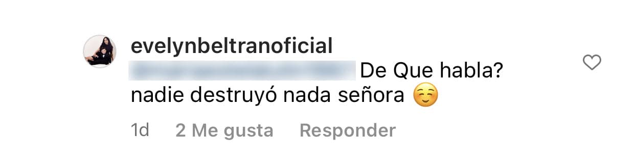 <b>"Nadie destruyó nada"</b>, le dijo a la usuaria. 
<br>