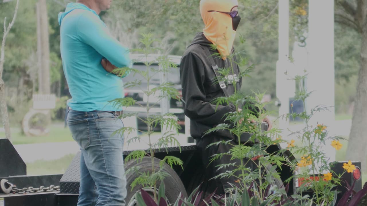 Inician investigación contra empresa de construcción por presuntos fraudes cometidos en la Bahía de Tampa