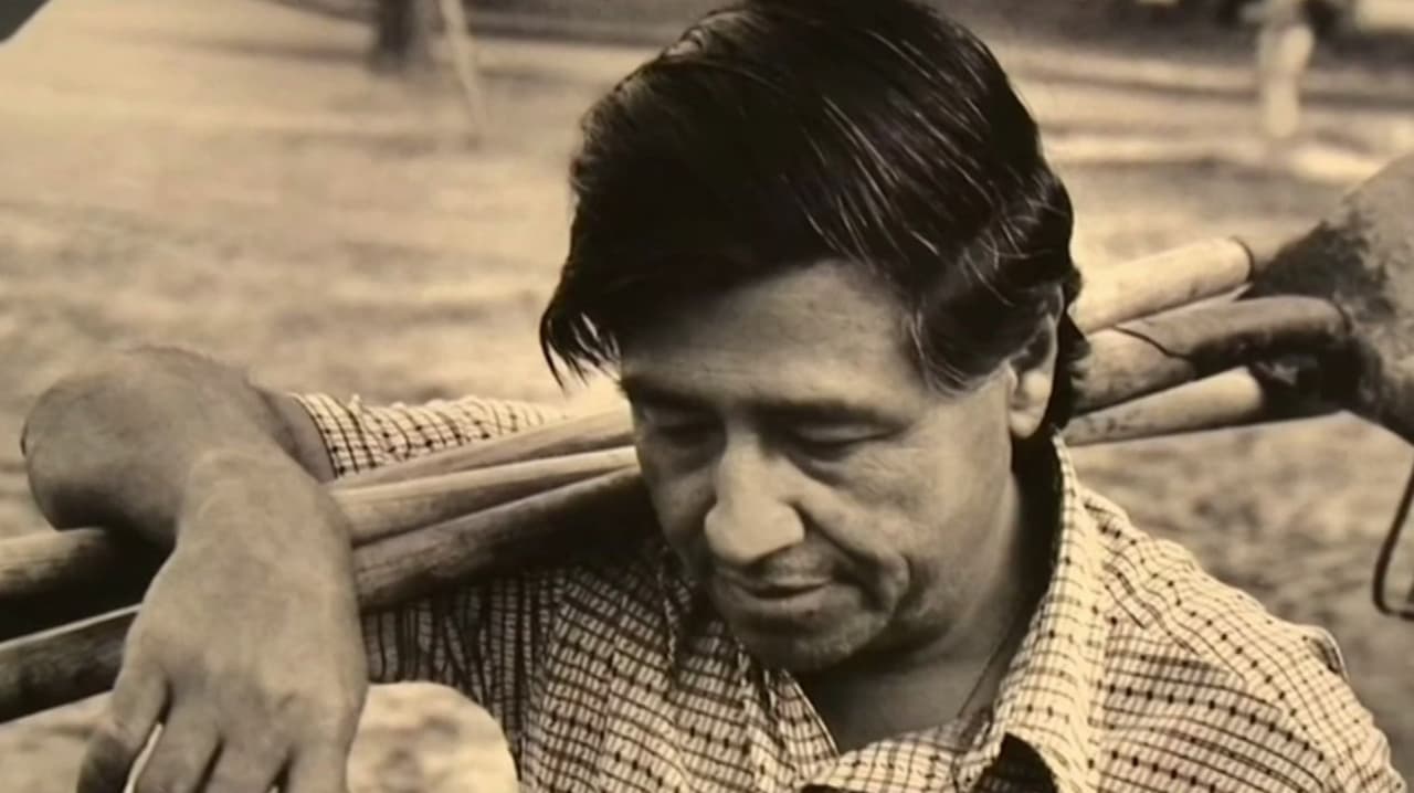 Acusaciones 'sacuden' el legado de César Chávez: Cancelan marchas y eventos tras denuncias de abuso