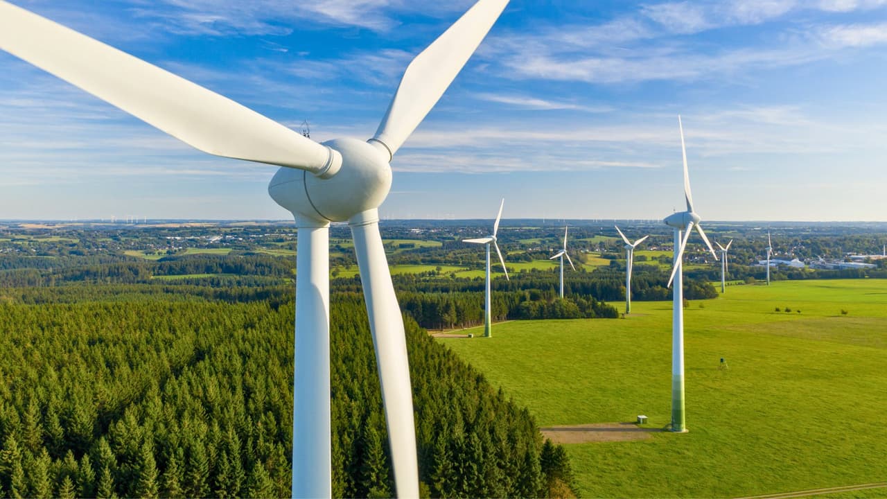 <h3 class="cms-H3-H3">Texas produce energía para medio país </h3>
<br>
<br>
<b>👉🏻 Texas lidera en producción de petróleo y gas natural en Estados Unidos</b>, pero también es el estado número uno en generación de energía eólica y está creciendo rápido en solar. El sistema eléctrico es independiente: 
<b>no está totalmente conectado a las redes nacionales (Eastern y Western Interconnect)</b>, lo que le permite autonomía… pero también lo hace vulnerable en crisis, como ocurrió en 2021. 
<br>
<br>
<b>🔍 Por qué importa:</b> Crea oportunidades laborales en sectores energéticos tradicionales y renovables, pero también genera tensiones políticas y cortes de energía en momentos críticos.