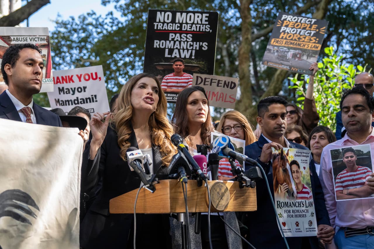 La 
<b>'Ley de</b> 
<b>Romanch’, </b>explicó Menin, requiere que 
<b>antes de abril de 2027 </b>la 
<b>alcaldía de la Ciudad de Nueva York</b> presente 
<b>un plan de asistencia y reubicación laboral</b> para los trabajadores del sector.