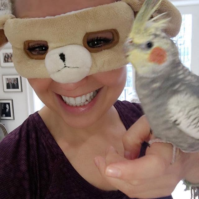 Fue así como “Pikachu” llego a su casa.