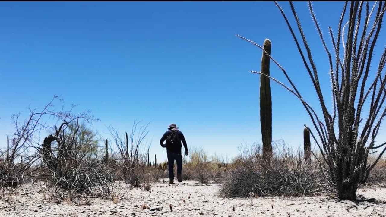 Recorrimos uno de los corredores más peligrosos del desierto de Arizona: pocos migrantes sobreviven