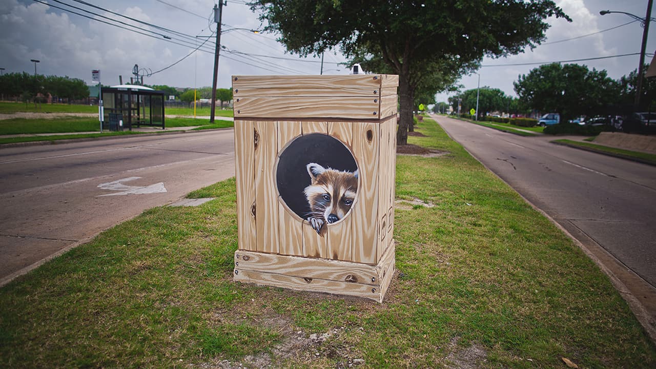 Título de obra: Racoon in Wood Crate
<br>Artista: Ana Ronen
<br>Ubicación: South Gessner y Creekbend