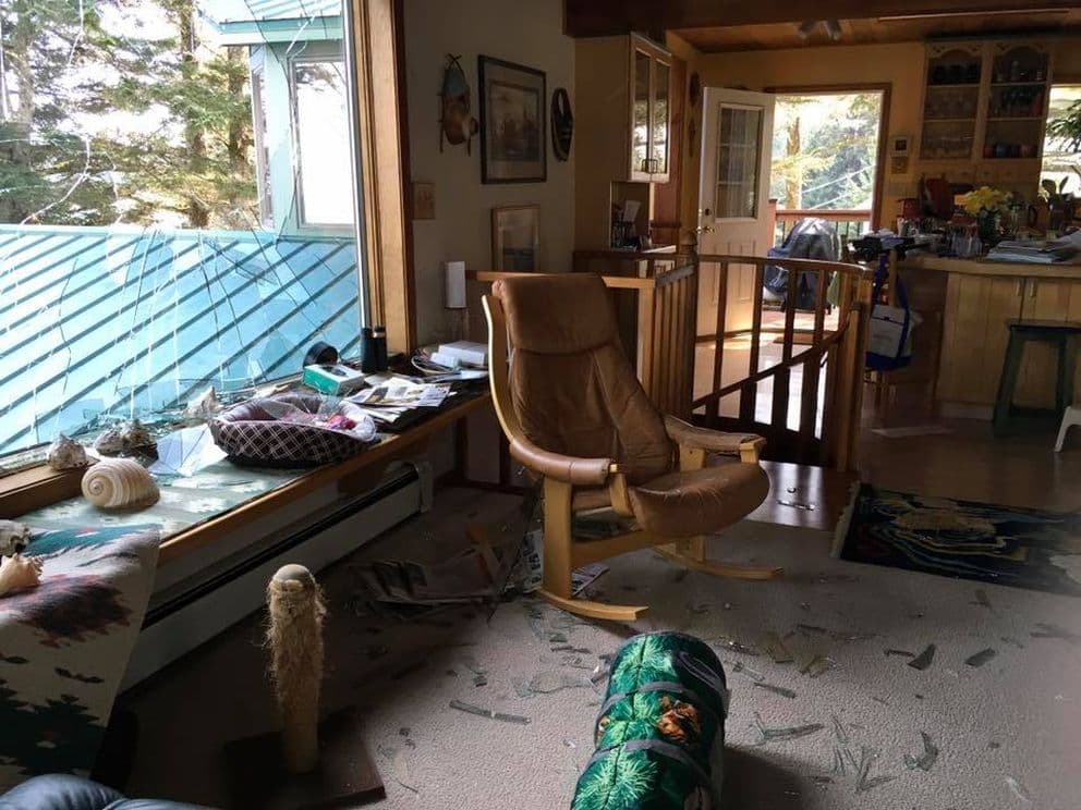 Un águila voló por una ventana en la casa de Stacy Studebaker en Kodiak el sábado 4 de mayo de 2019.
<br>