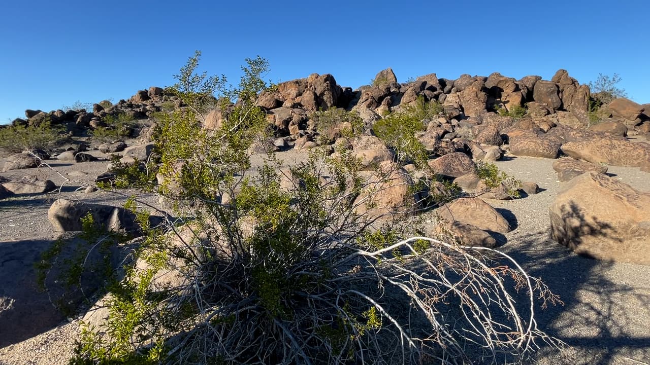 Estos petroglifos abundan en toda el área del Great Bend of the Gila, y el sitio se considera importante e incluso 
<b>sagrado para muchas de las tribus nativas</b> americanas del sur de Arizona.