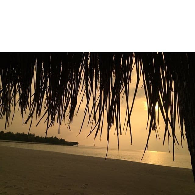 El atardecer que capturó Brooklyn.