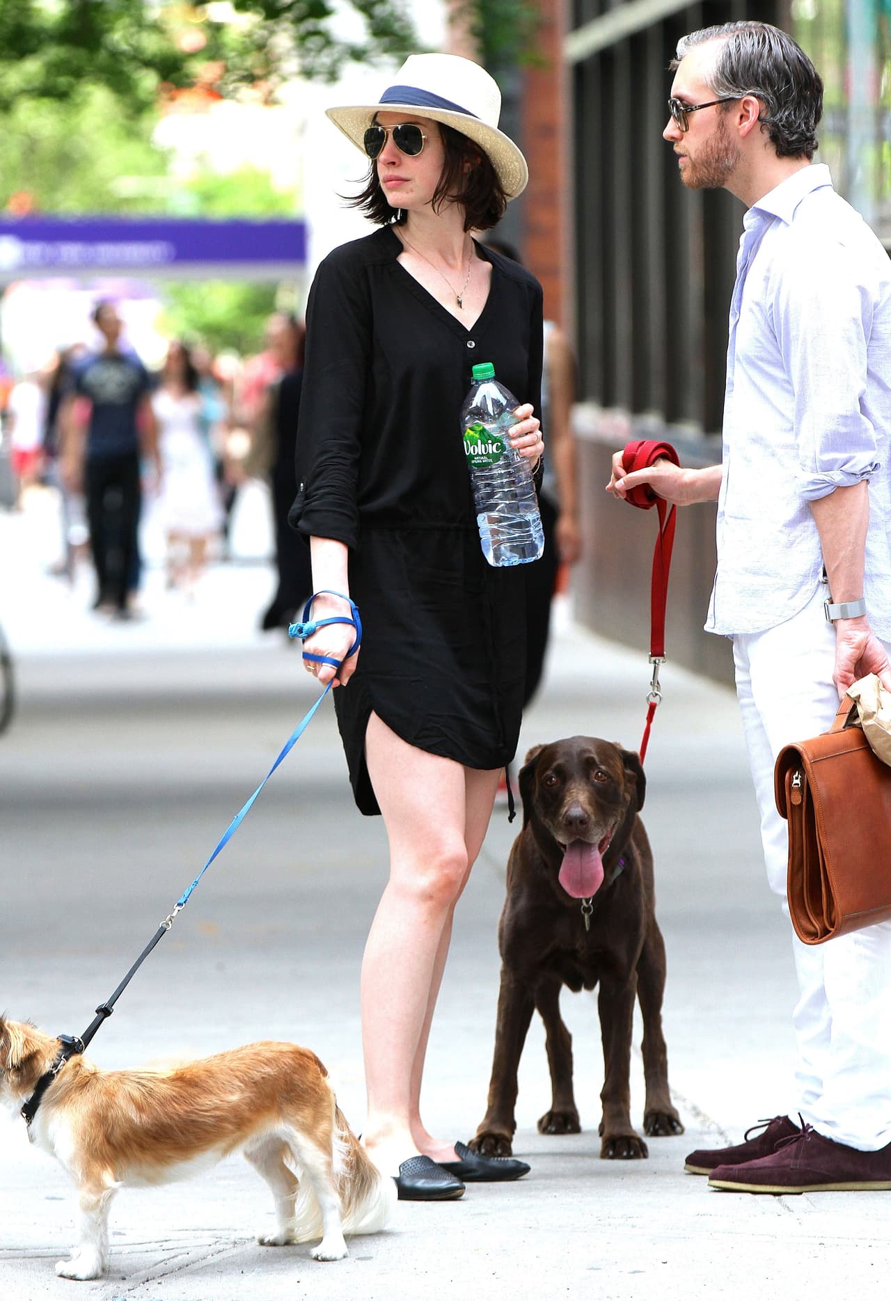 Con mucho porte y buenísima compañía siempre aparece Anne Hathaway.