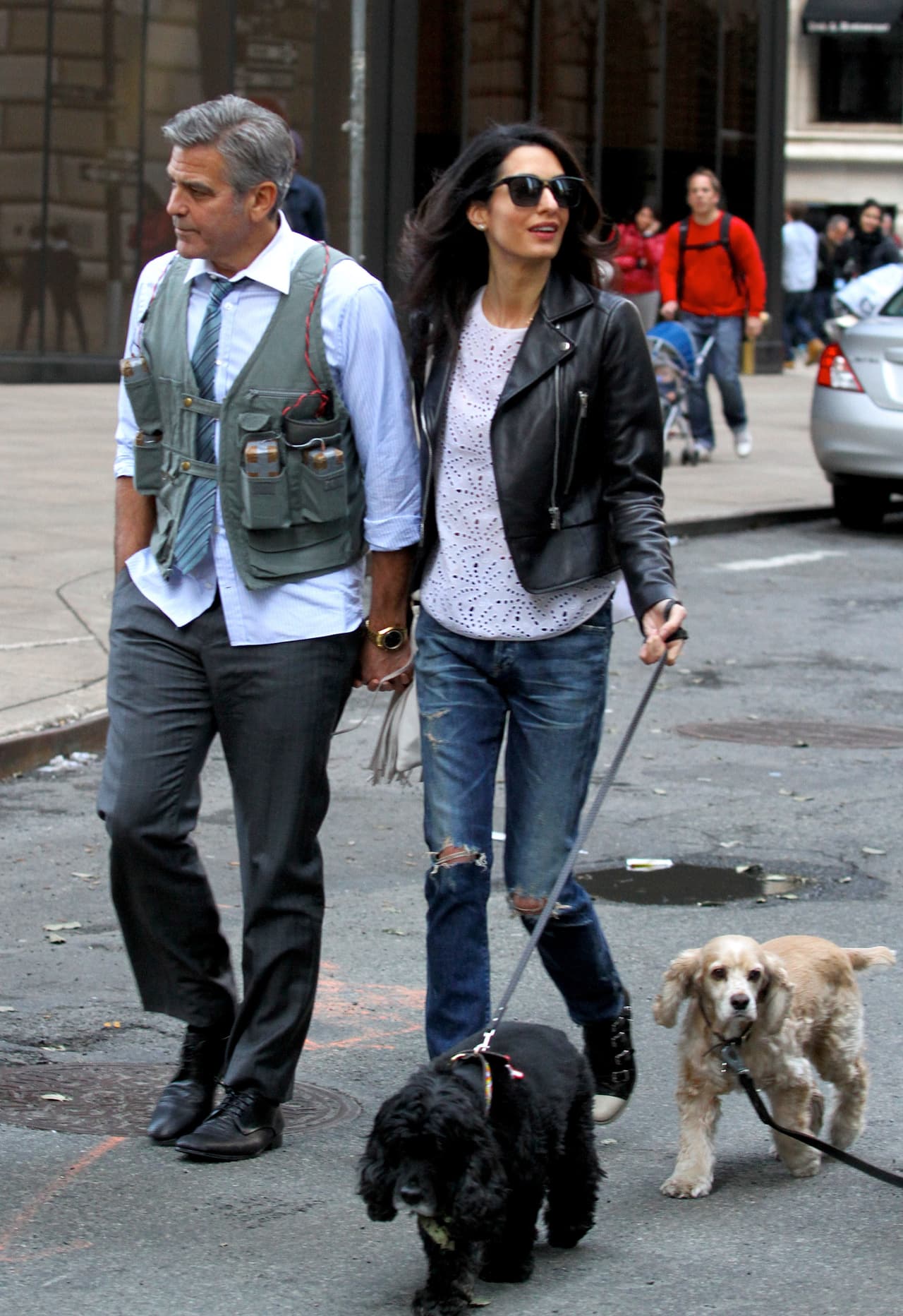 George Clooney y Amal Alamuddin viajan por todo el mundo, y sus compañeros siempre son sus amados perros.