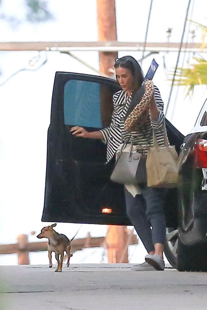 Demi Moore siempre será lo máximo para sus perritos, pues para ellos no hay alguien mejor.