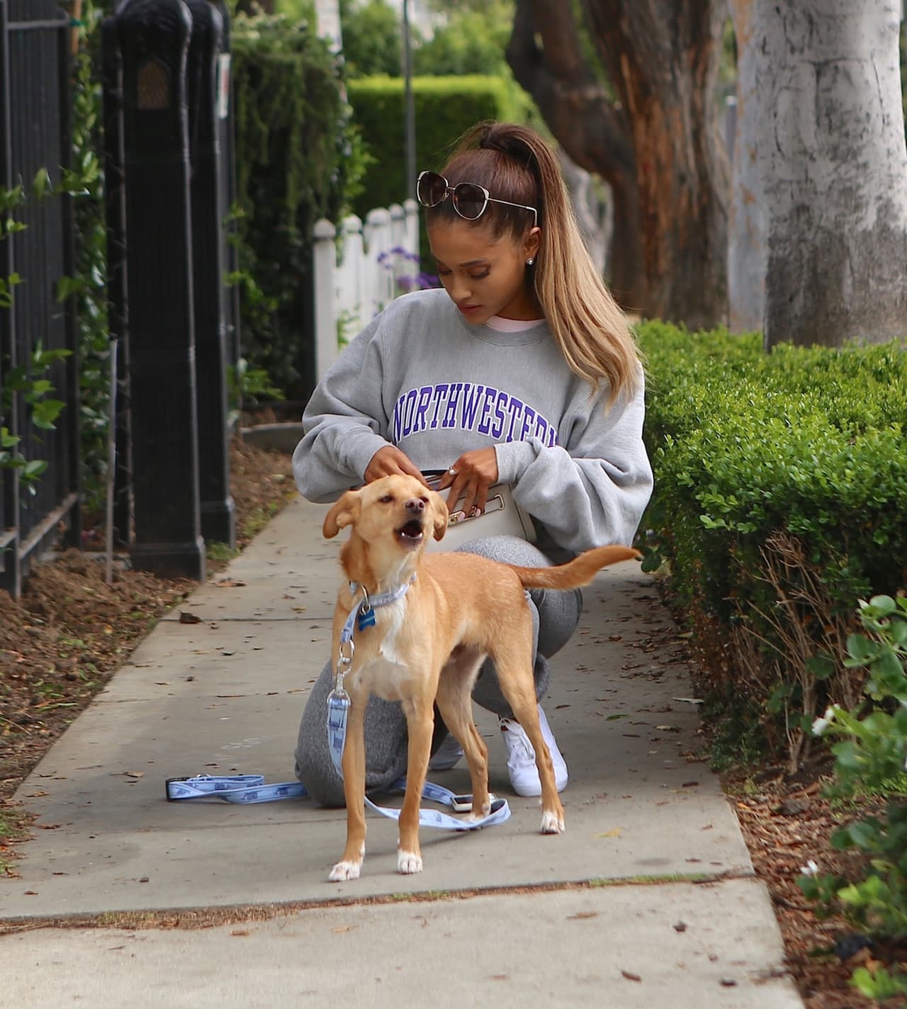 No hay día en que Ariana Grande no se preocupe por su cachorro.