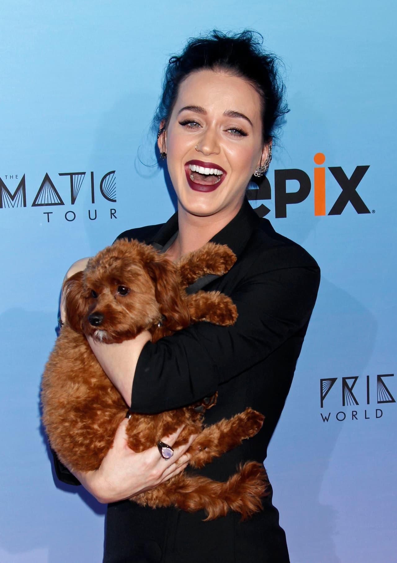 ¡Y a Katy Perry le encantan los perros! Es súper fan de ellos.